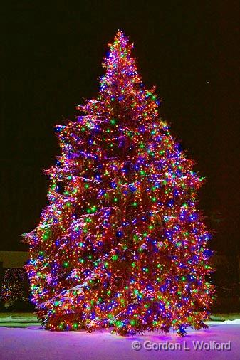 Gilmore's Christmas Tree_11779-81.jpg - Photographed at Ottawa, Ontario - the capital of Canada.